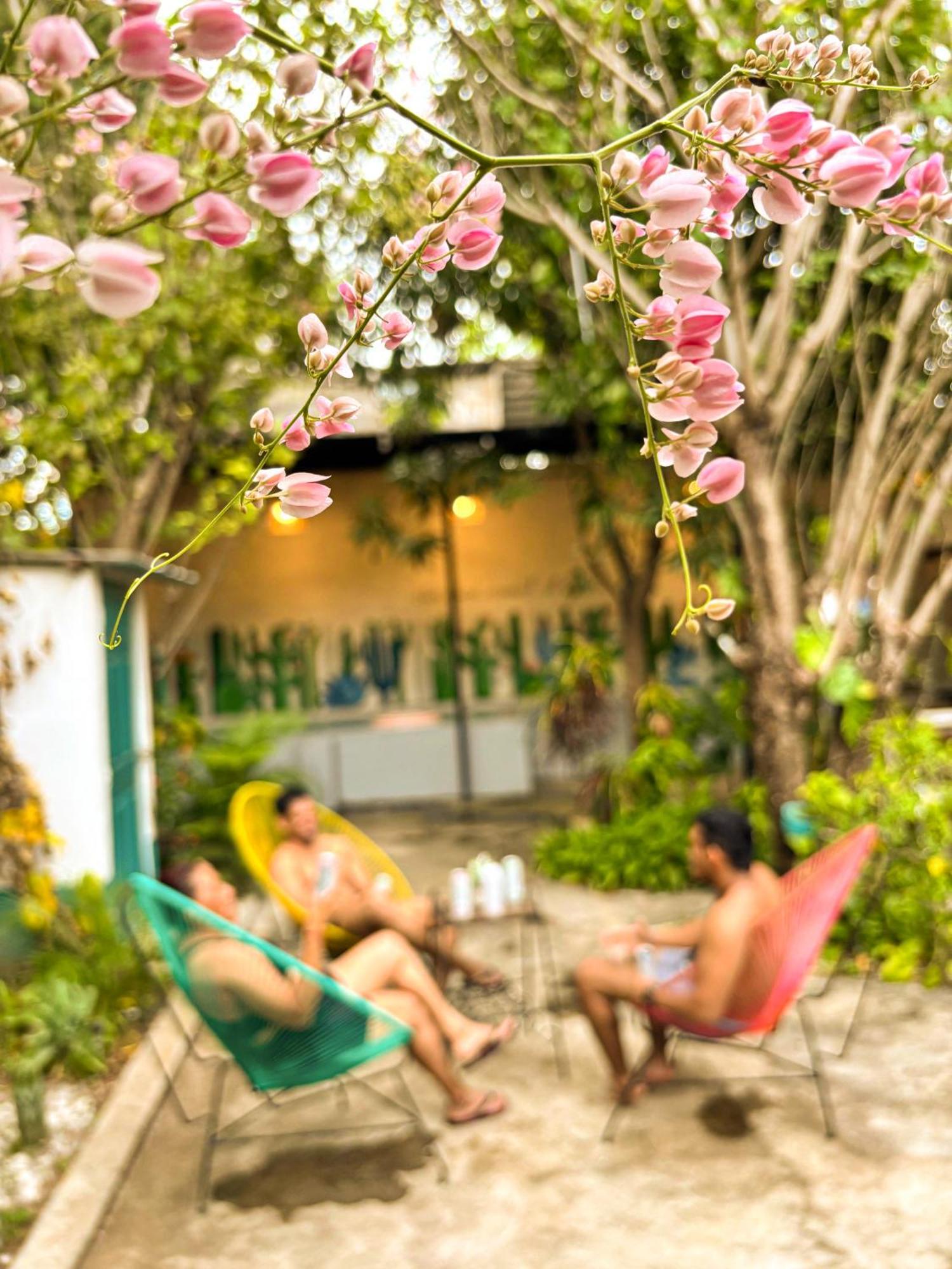 Hostal El Rio Леон Екстер'єр фото